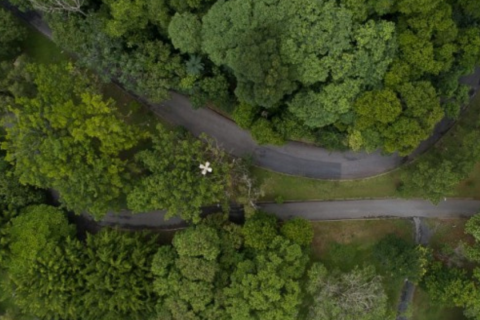 Barueri é uma das cidades mais arborizadas do mundo diz a ONU Folha