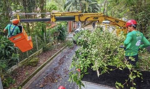 Santana de Parnaíba passa a oferecer serviço de poda de árvores próximas aos fios elétricos